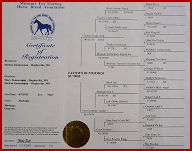 spirit pedigree