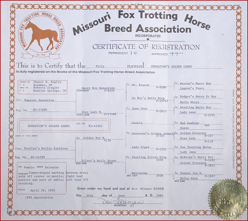 horse pedigrees 002