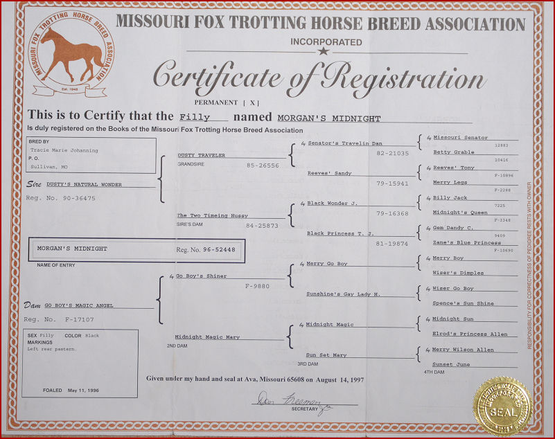 horse pedigrees 001