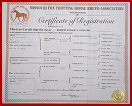 horse pedigrees 001