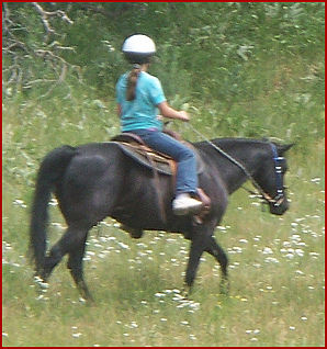2008 Acorn Valley Ranch 066